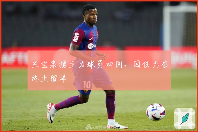 王宝泉携主力球员回国，因伤无奈终止留洋